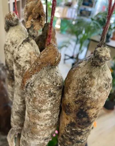 Acheter des produits corses dans une pépinière à Ghisonaccia, Folelli, Pépinière du Fiumalto