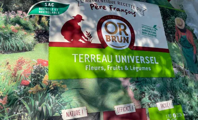Promotion pour création haie jardin à Folelli, Folelli, Pépinière du Fiumalto